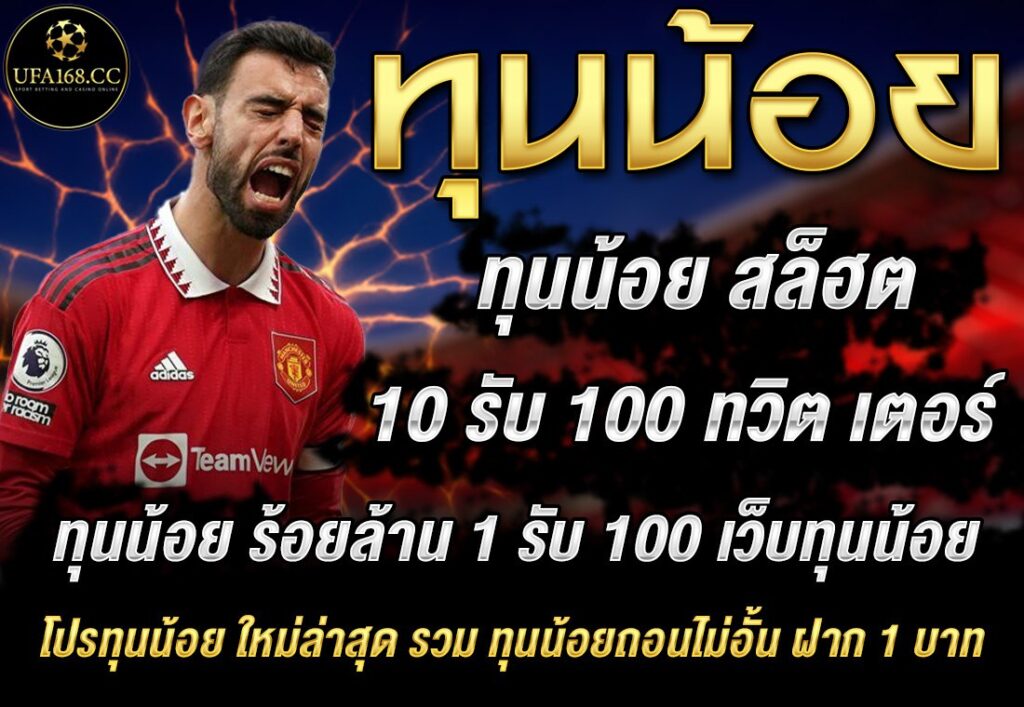 ทุนน้อย